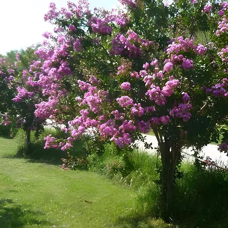 Πανσιόν Maria Stella
